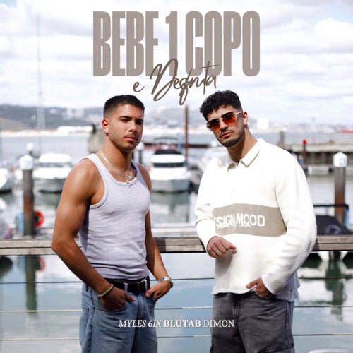 Bebe 1 Copo e Desfruta