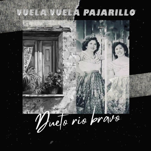 Vuela Vuela Pajarillo