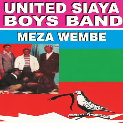 Meza Wembe
