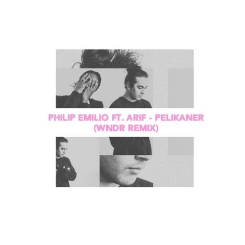 Pelikaner (WNDR Remix)