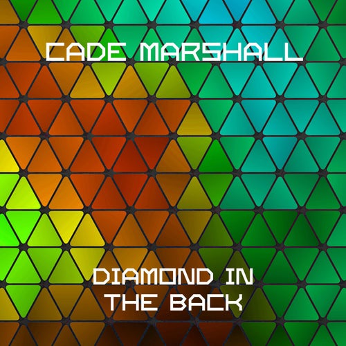 Diamond In The Back