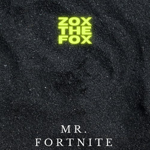 Mr. Fortnite