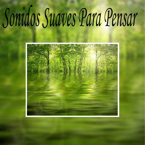 Sonidos Suaves Para Pensar