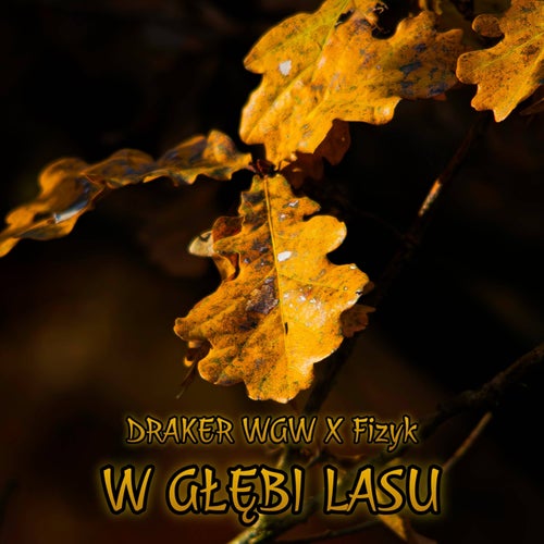 W głębi lasu