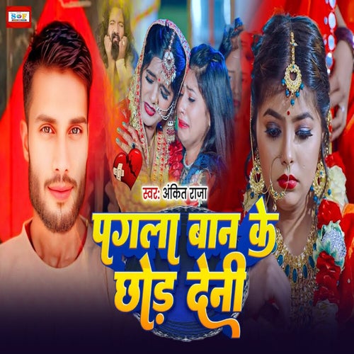 Pagla Baan Ke Chhod Deni