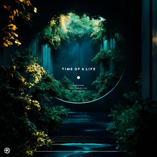 Release of the week