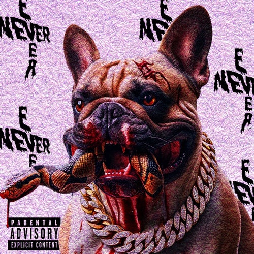Never Ever
