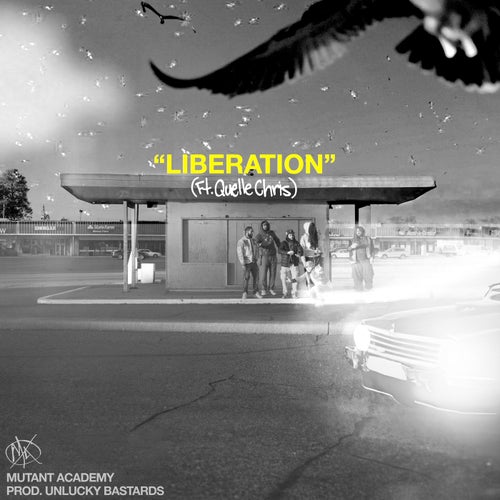 Liberation