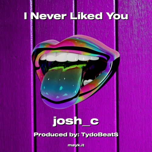 I Never Liked You