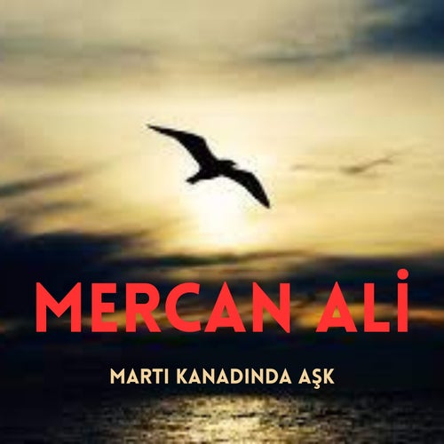 Martı Kanadında Aşk