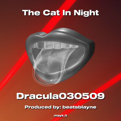 The Cat In Night