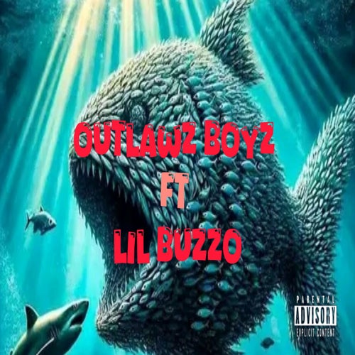 Release of the week