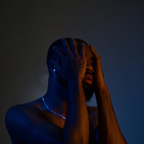 Promise I'm Not Crazy - EP
