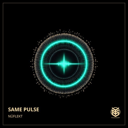 Same Pulse