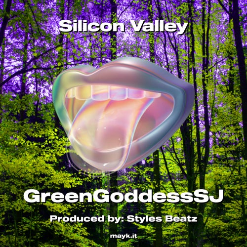 Silicon Valley