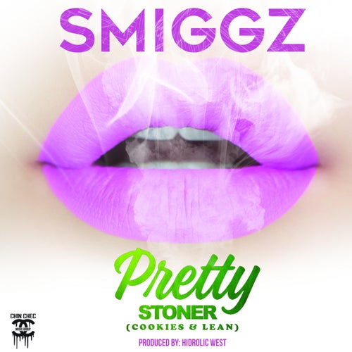 Pretty Stoner (Cookies & Lean) [feat. Hydrolic West]
