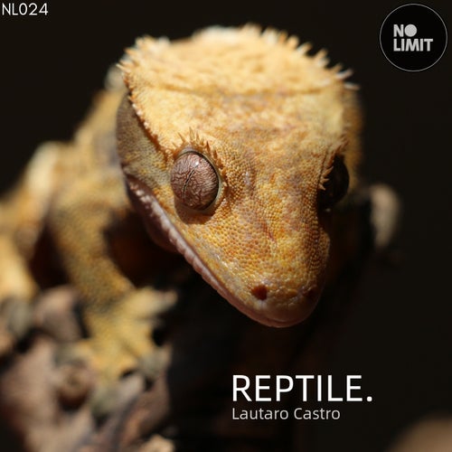 Reptile