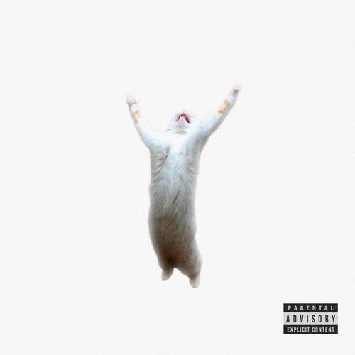 Release of the week