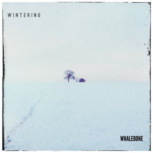 Wintering