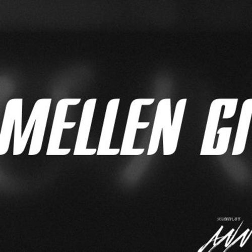 Mellen Gi Profile