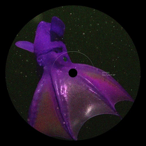 Halflight EP