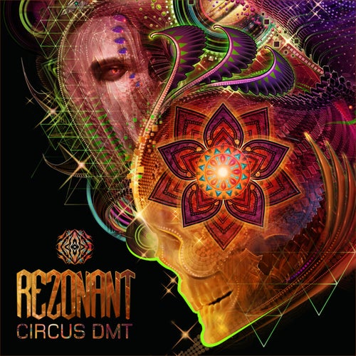 Circus DMT