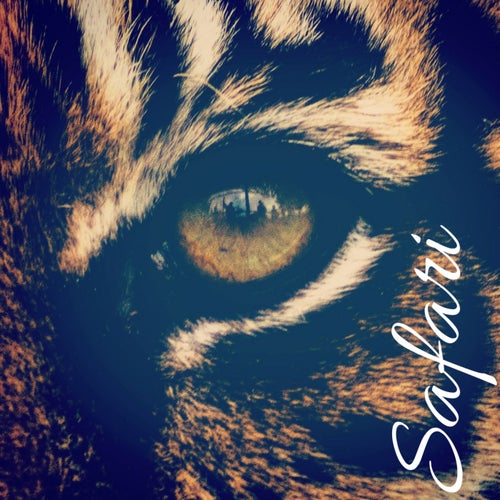 Safari