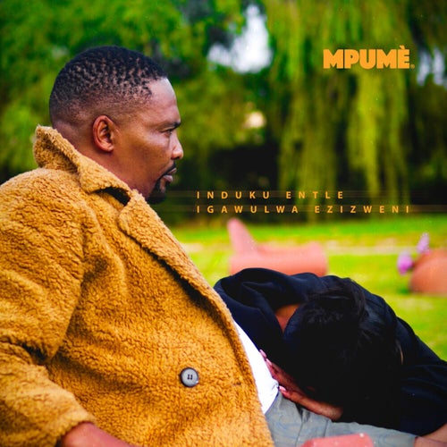 Induku Entle Igawulwa Ezizweni