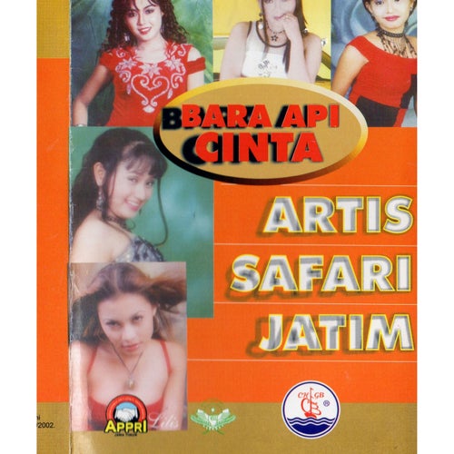 Bara Api Cinta