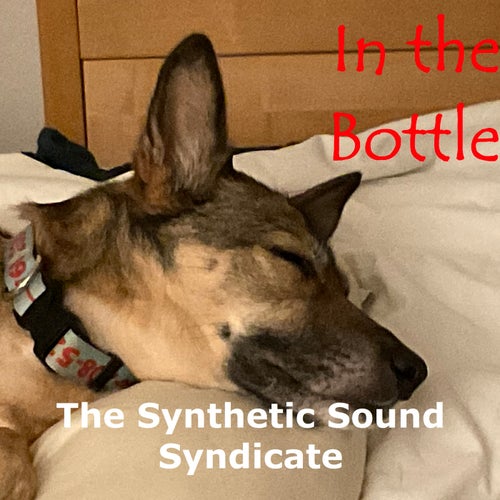 In the Bottle