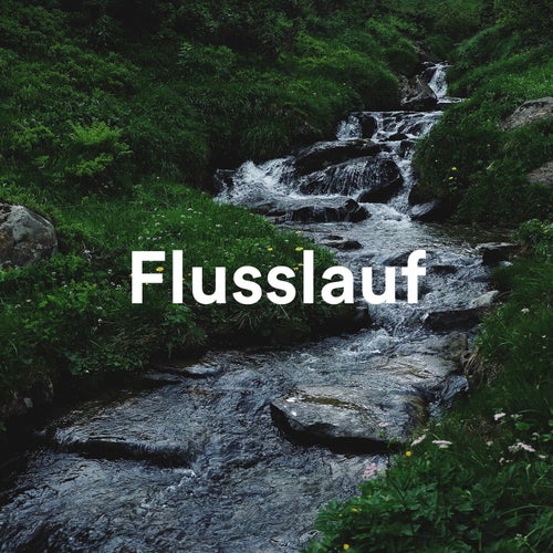 Flusslauf