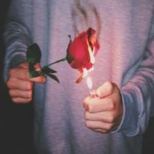LOVE (feat. Bravo zzzys)