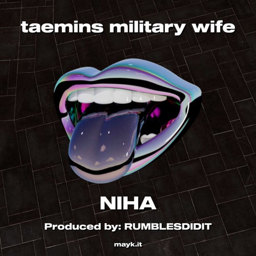 taemins military wife