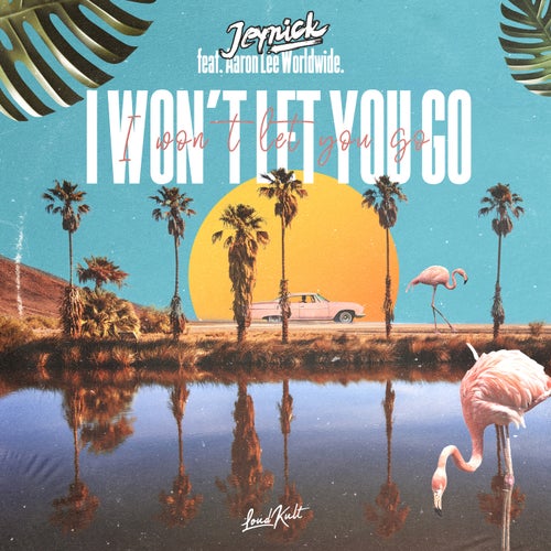 I Won't Let You Go (feat. Aaron Lee Worldwide)