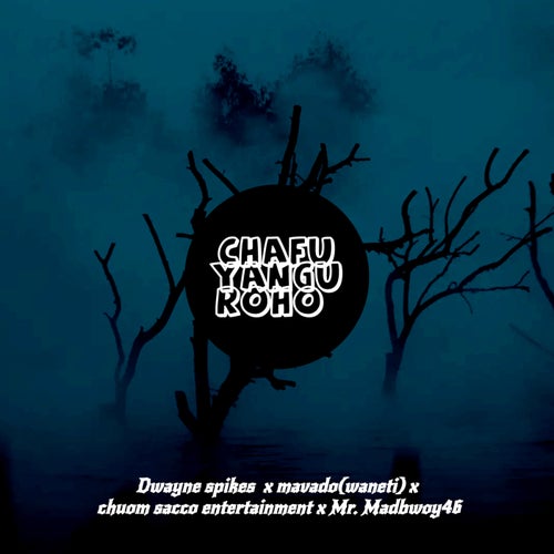 CHAFU ROHO (feat. MR.MADBWOY46)