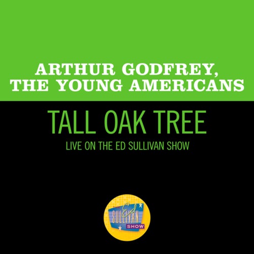 Tall Oak Tree