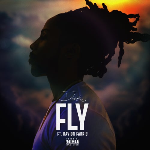 Fly  