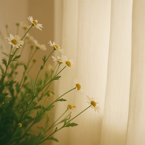 Seasonal Interiors