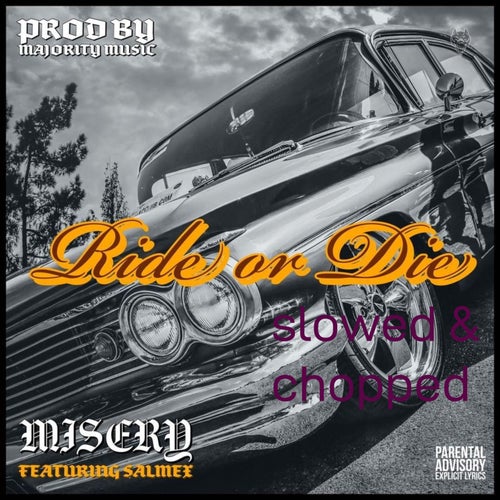 Release of the week