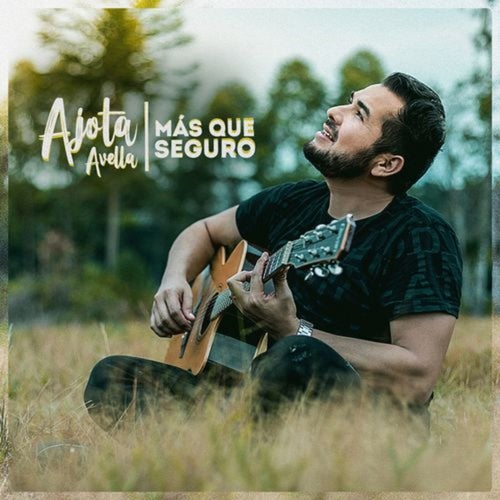 Más Que Seguro