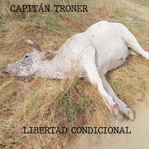 Libertad Condicional