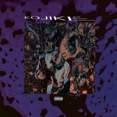 Release of the week
