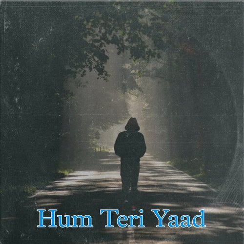 Hum Teri Yaad (From "Ishq Mein")