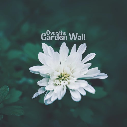 Over the Garden Wall