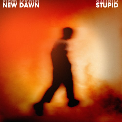 Stupid