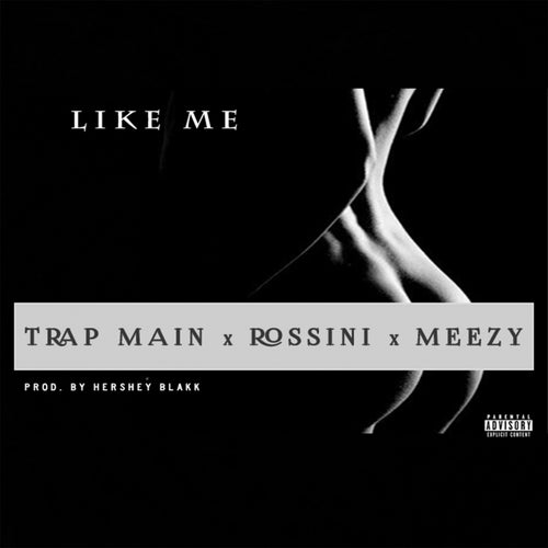 Like Me (feat. Trap Main & Meezy) - Single