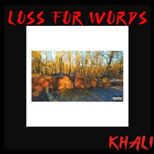 LOSS FOR WORDS (Radio)