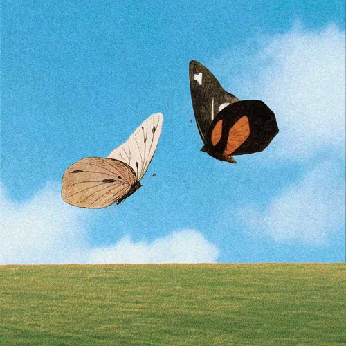 Release of the week