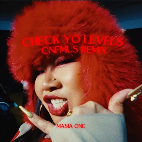 Check Your Levels (CNFMUS REMIX)
