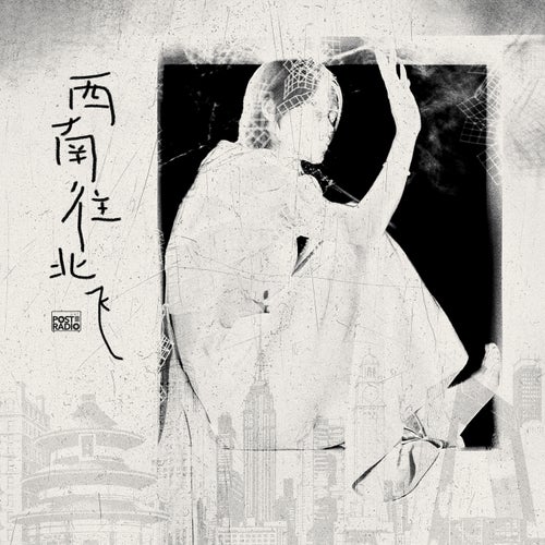 西南往北飞（Forgiveness）